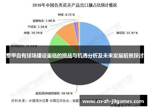 意甲自有球场建设面临的挑战与机遇分析及未来发展前景探讨