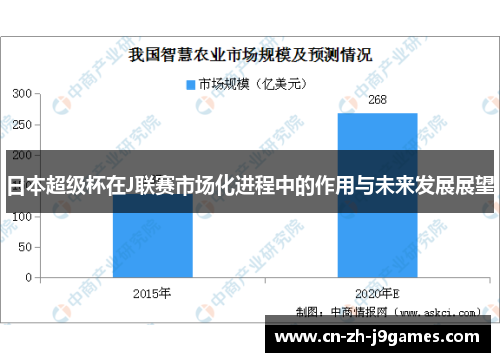 日本超级杯在J联赛市场化进程中的作用与未来发展展望